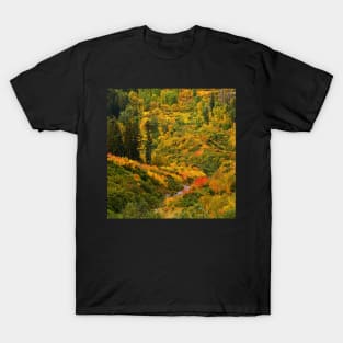 Autumn in Montana T-Shirt